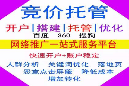SEM公司案例分享：优化效果与转化率提升策略